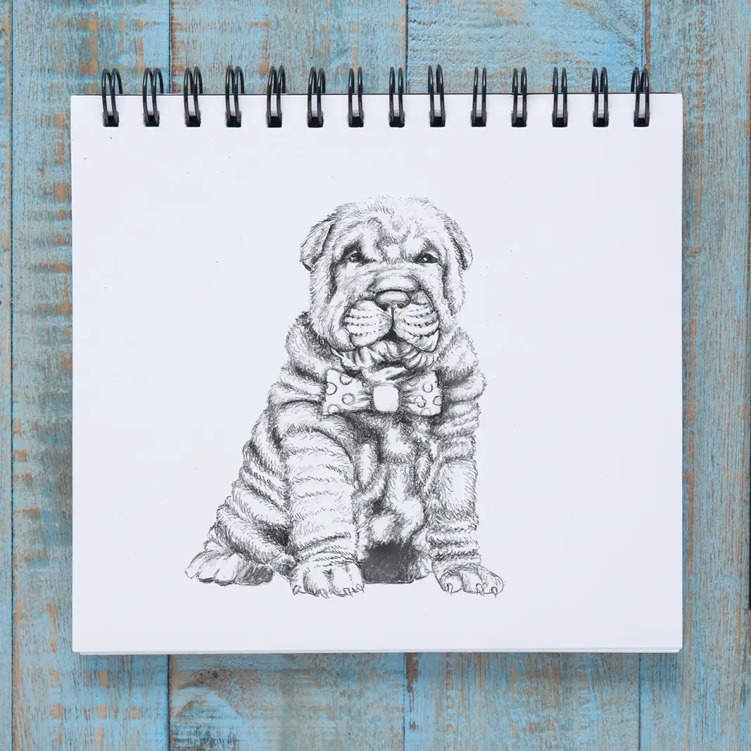 image projet illustration chien dessin